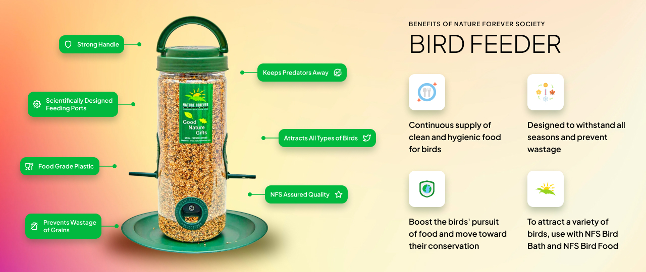 Bird Feeder Benefits
