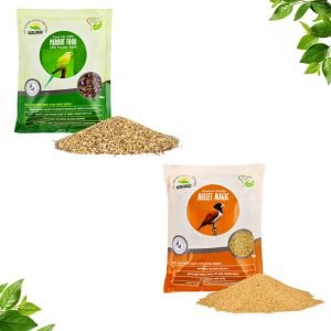 Parrot & Millet Magic Food Combo - 900gms