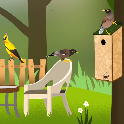 illustration birds mobile